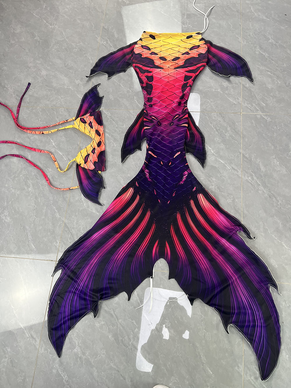 Aquarium & Marine Museum Universiti Malaysia Sabah Kota Kinabalu Sabah Reviews - Original Color Mermaid Tail Mermaid Fish