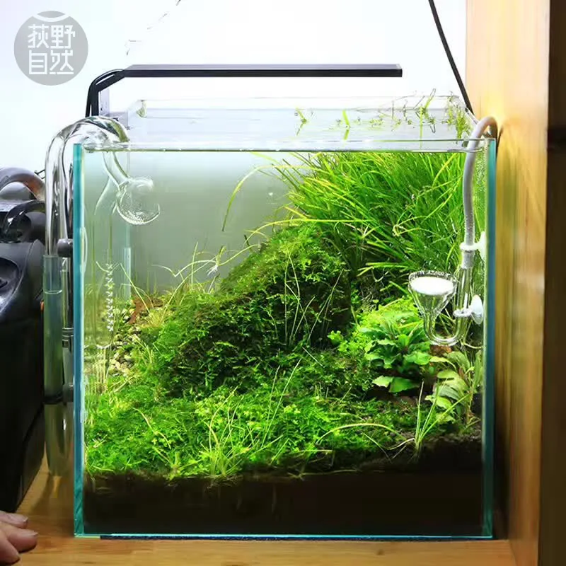 Marine Aquarium Led Lights - Chihiros C Series ADA Style Plant