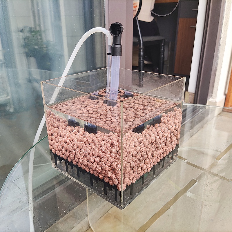Transparent Acrylic Shrimp Fis - Calcium Reactor Media ulasan dan harga
