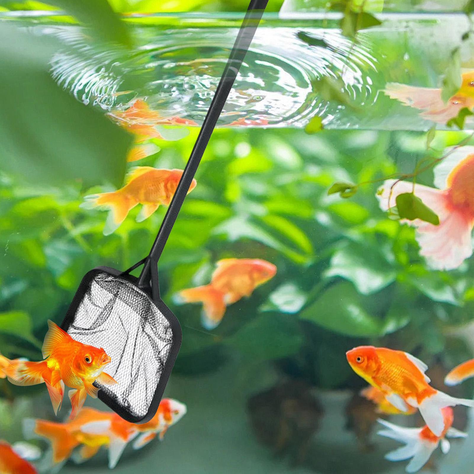 Pool Nets for Cleaning Portabl - Aquarium Marine ulasan dan harga