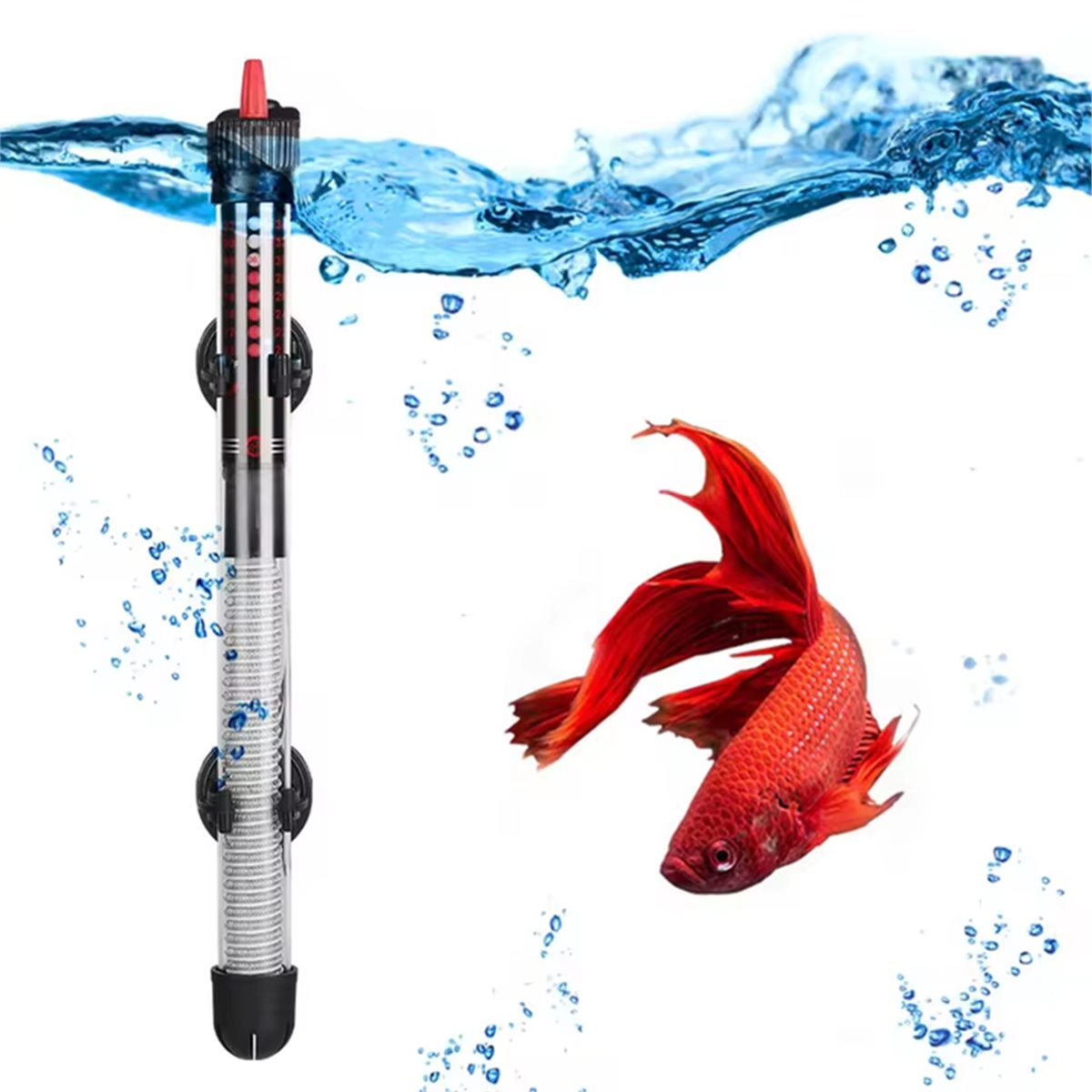 (A02R] Submersible Aquarium He - Aquarium & Marine Museum Universiti Malaysia Sabah Kota Kinabalu Sabah Reviews ulasan dan harga