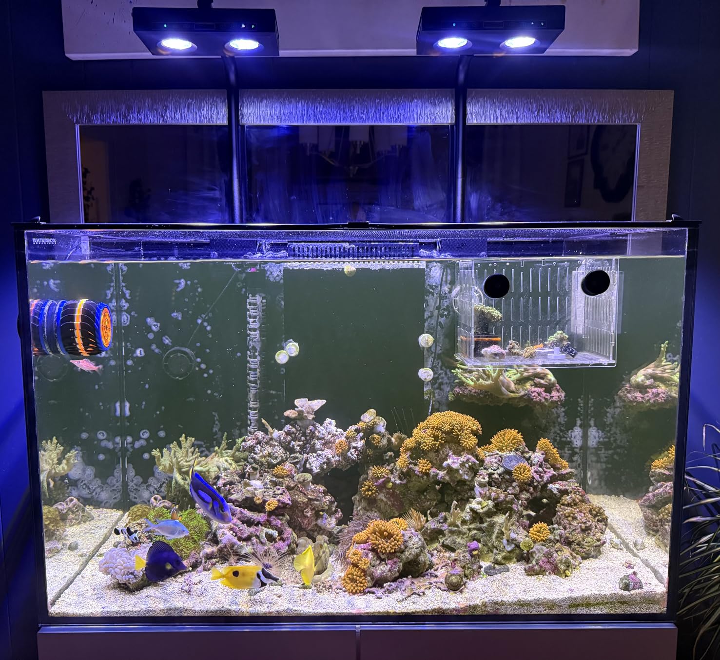 High Power DIY Spectrum 90W G5 - Marine Aquarium Led Lights ulasan dan harga
