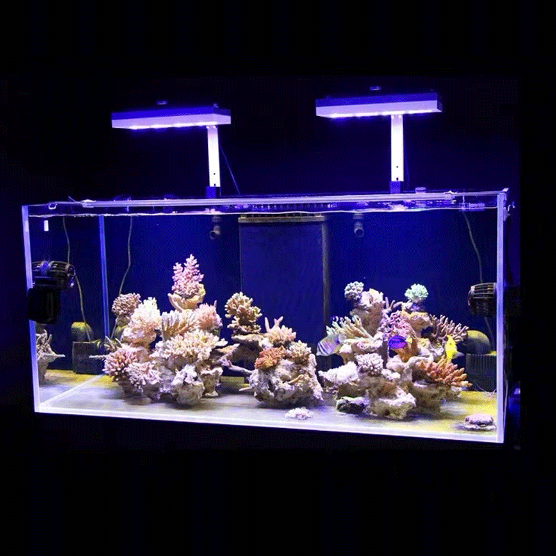 Aqua Illumination AI Hydra 32H - Marine Aquarium Led Lights ulasan dan harga