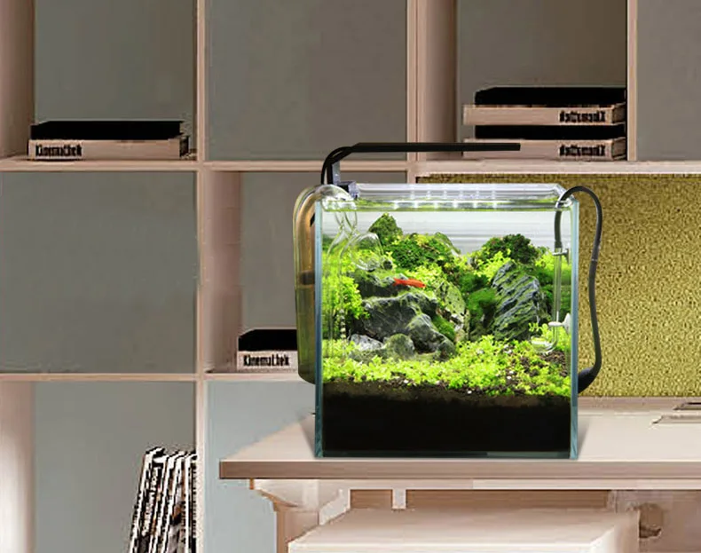 Chihiros C Series ADA Style Pl - Marine Aquarium Led Lights ulasan dan harga