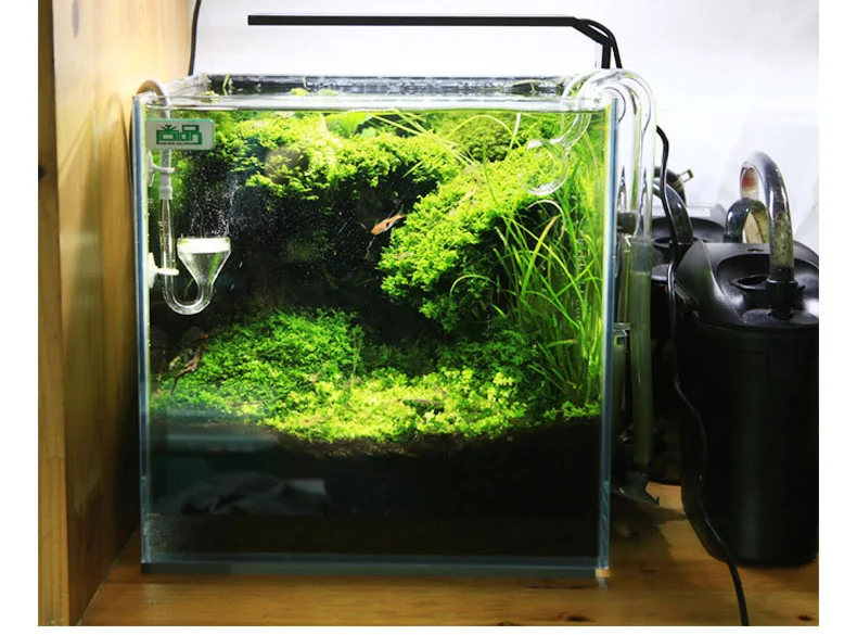 Chihiros C Series ADA Style Pl - Marine Aquarium Led Lights ulasan dan harga