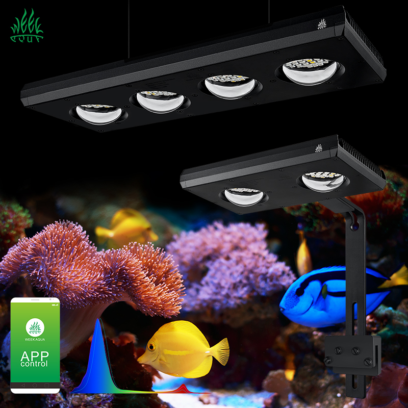 ZXY Hot Sale WEEKAQUA Z250 Z40 - Marine Aquarium Led Lights ulasan dan harga