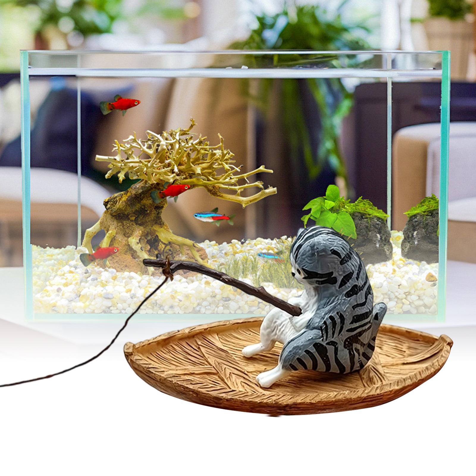 Creative Cat Fishing Boat Aqua - Aquarium Marina ulasan dan harga