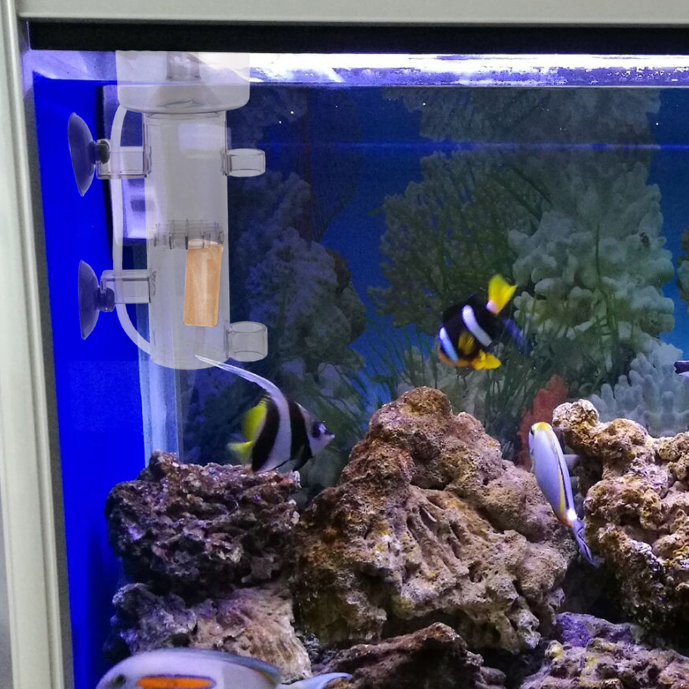 Protein Skimmer Acrylic Aquari - Aquarium Marine ulasan dan harga
