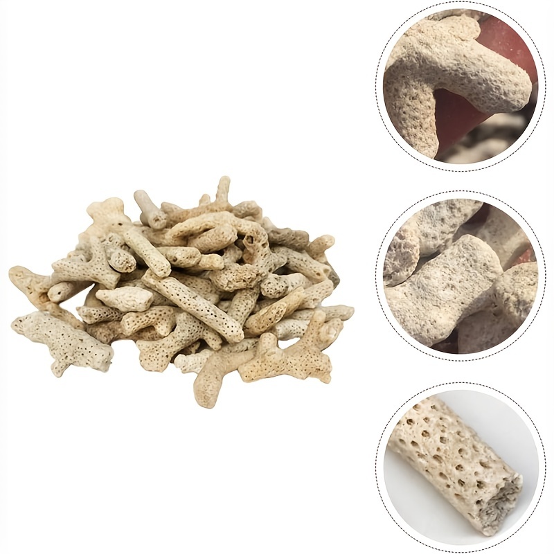 300g Coral Aquarium Filter, Fi - Calcium Reactor Media ulasan dan harga