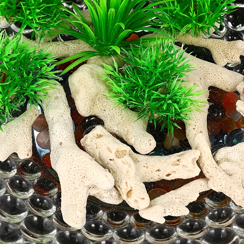 300g Coral Aquarium Filter, Fi - Calcium Reactor Media ulasan dan harga