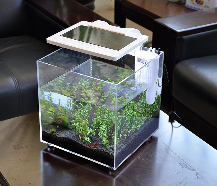 Mini Acrylic (25*25*25cm) Sale - Aquarium Marina ulasan dan harga