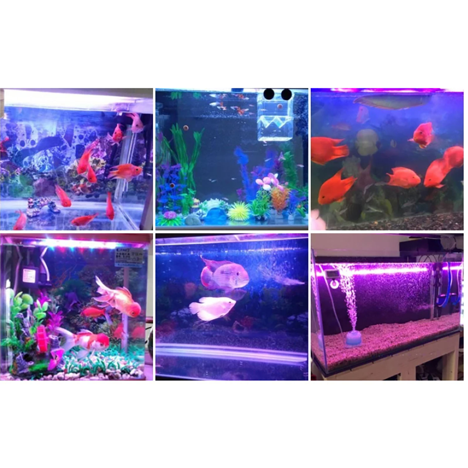 50W 60W 70W 100W RGB 26-28V Hi - Marine Aquarium Led Lights ulasan dan harga