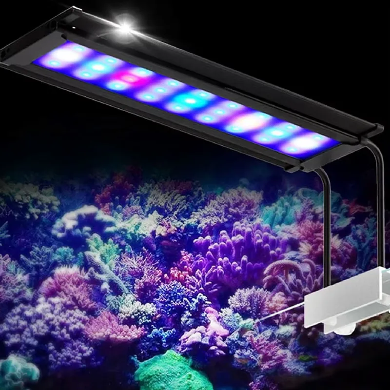 Marine Reef Coral LED Aquarium - Aquarium Marine Color ulasan dan harga