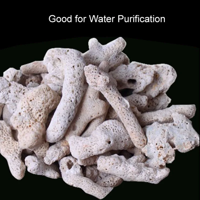 High Quality Natural Coral Bon - Calcium Reactor Media ulasan dan harga