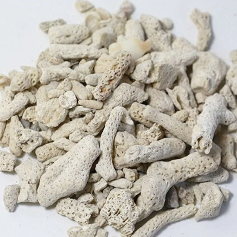 High Quality Natural Coral Bon - Calcium Reactor Media ulasan dan harga