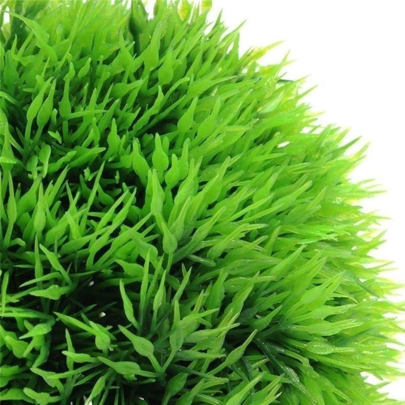 2026 Artificial Aquatic Plasti - Aquarium & Marine Museum Universiti Malaysia Sabah Kota Kinabalu Sabah Reviews ulasan dan harga