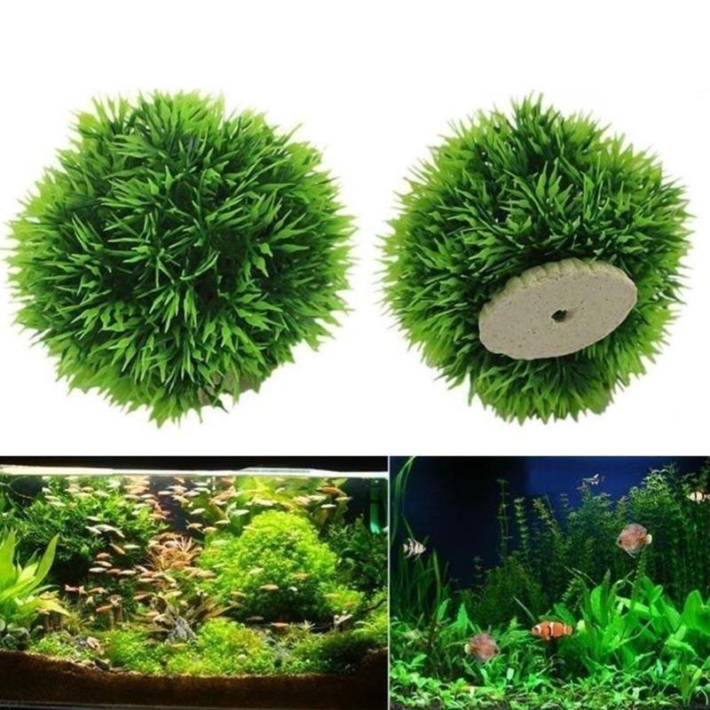 2026 Artificial Aquatic Plasti - Aquarium & Marine Museum Universiti Malaysia Sabah Kota Kinabalu Sabah Reviews ulasan dan harga