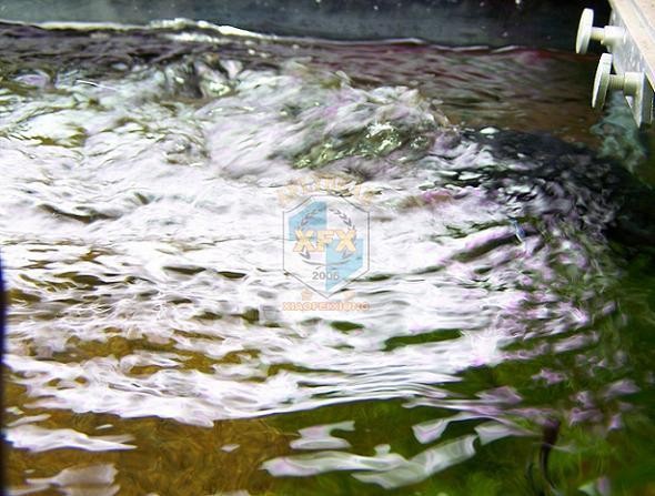 sunsun Jvp-200 newest waver ma - Aquarium Marine Color ulasan dan harga